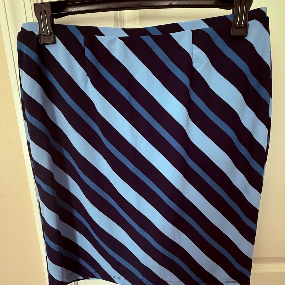 Express Diagonal Striped Blue and Black Mini Skirt
